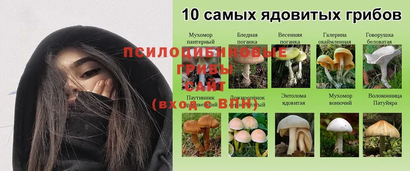 Галлюциногенные грибы Magic Shrooms  хочу наркоту  даркнет официальный сайт  Ртищево 